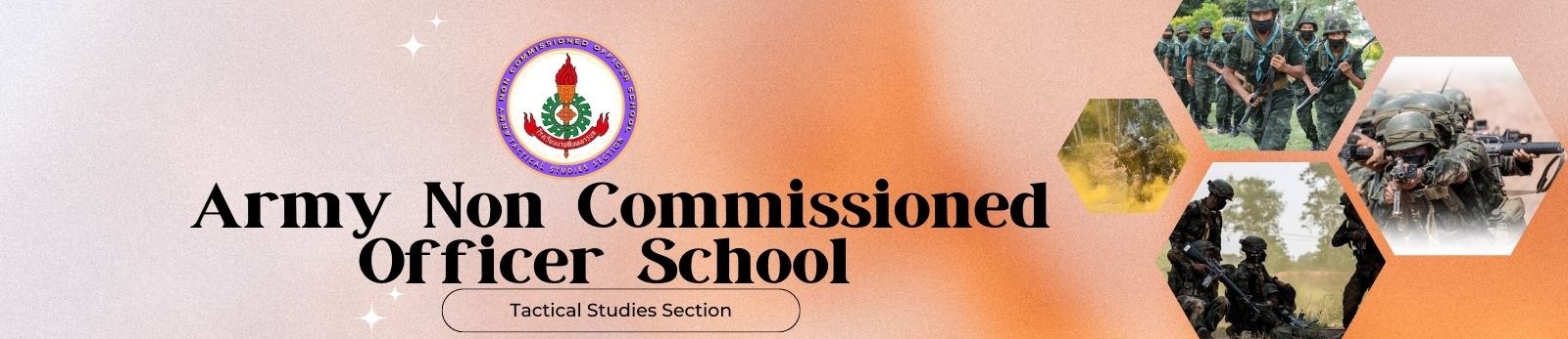 เรื่อง แบบฝึกหมู่ ปล.